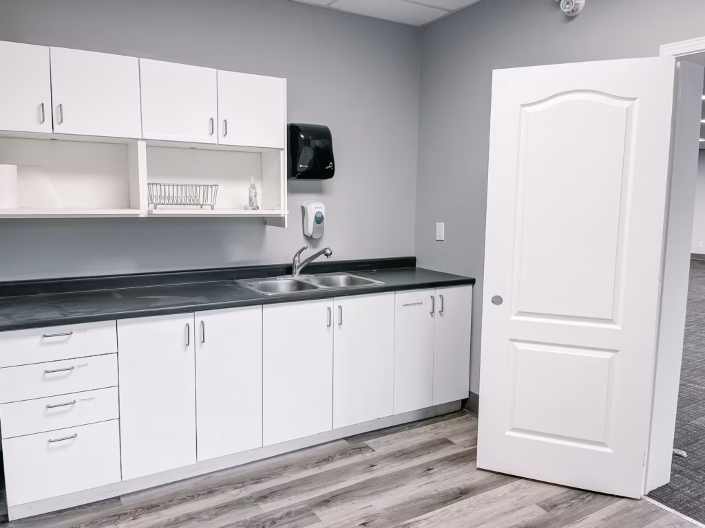 Clean white cabinets, gray walls, and a double sink in a modern utility room.