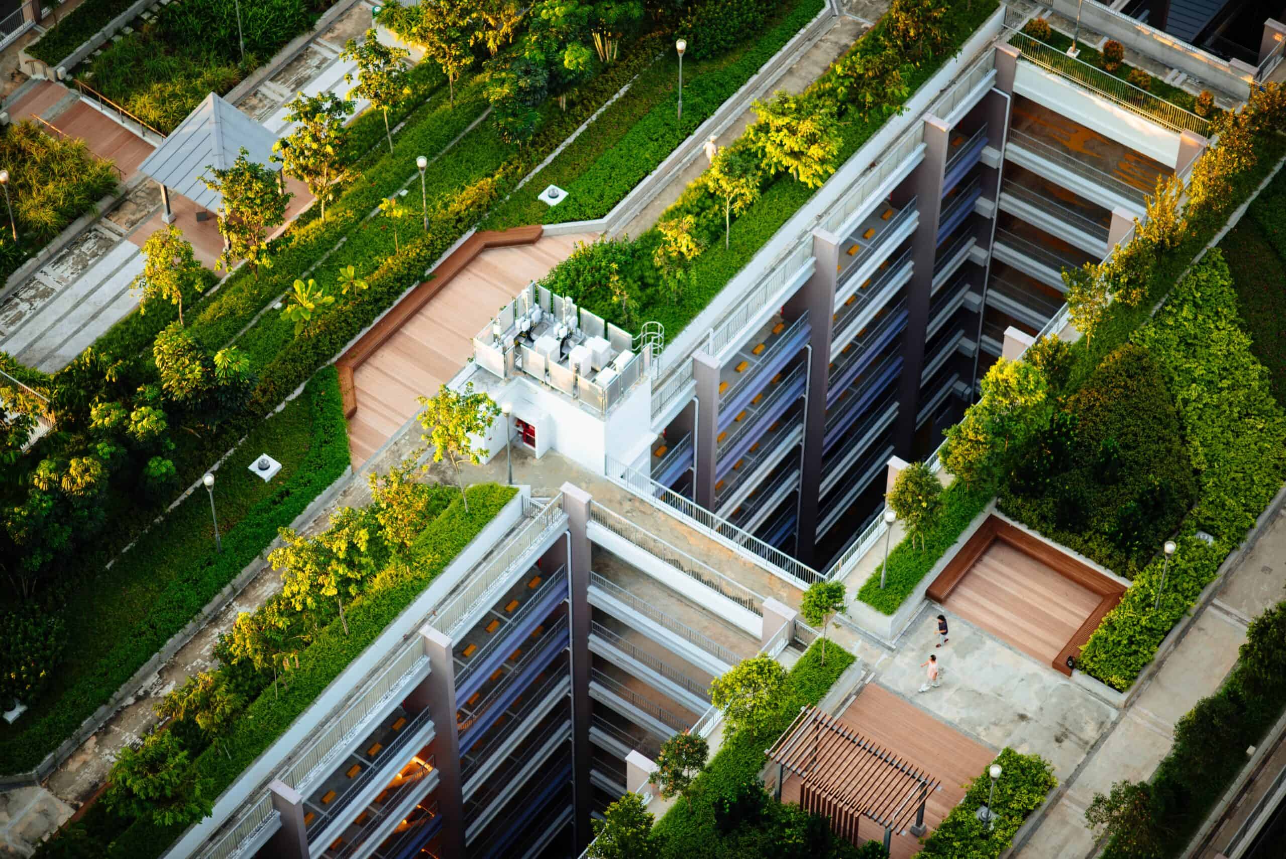 Aerial view of TFPG buildings with green roofs and rooftop gardens.